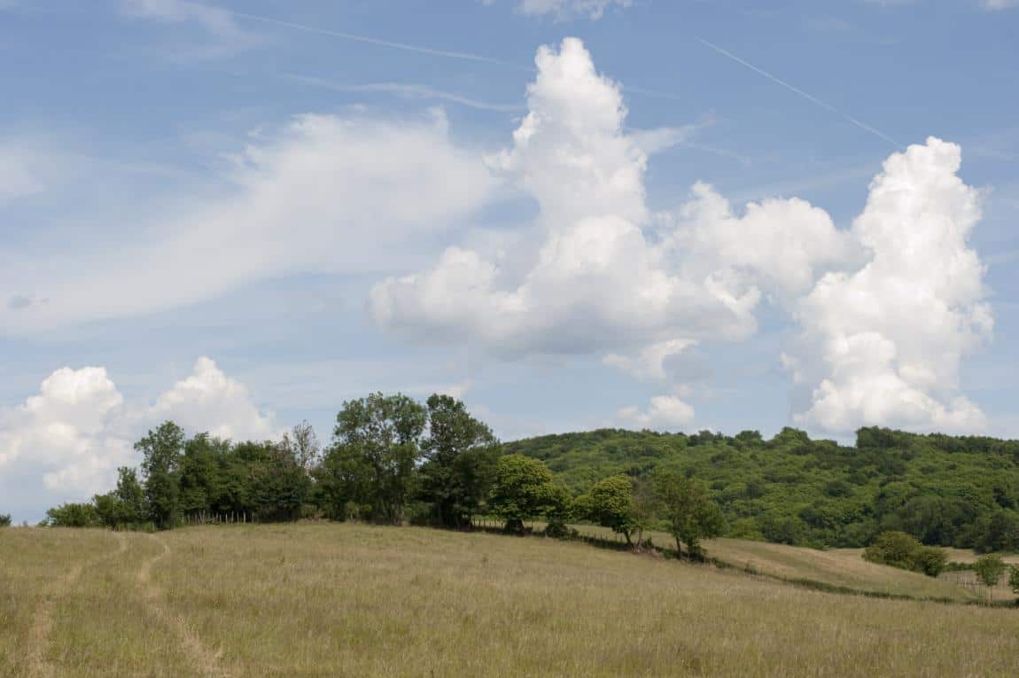 Promenade entre forêts et étangs