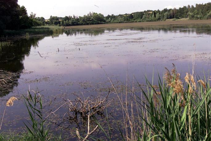 Espace naturel sensible de l